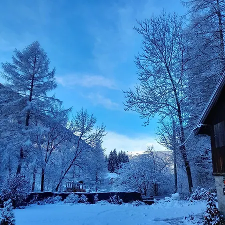 Appartement Vacanze Stella Alpina