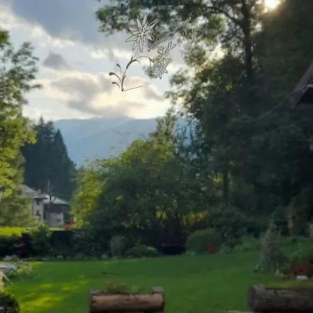 Appartement Vacanze Stella Alpina Temù
