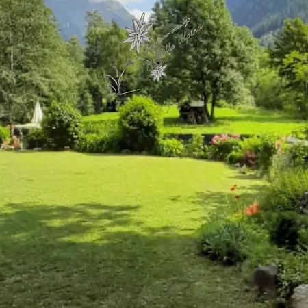 Vacanze Stella Alpina *