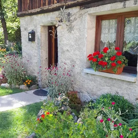Vacanze Stella Alpina *
